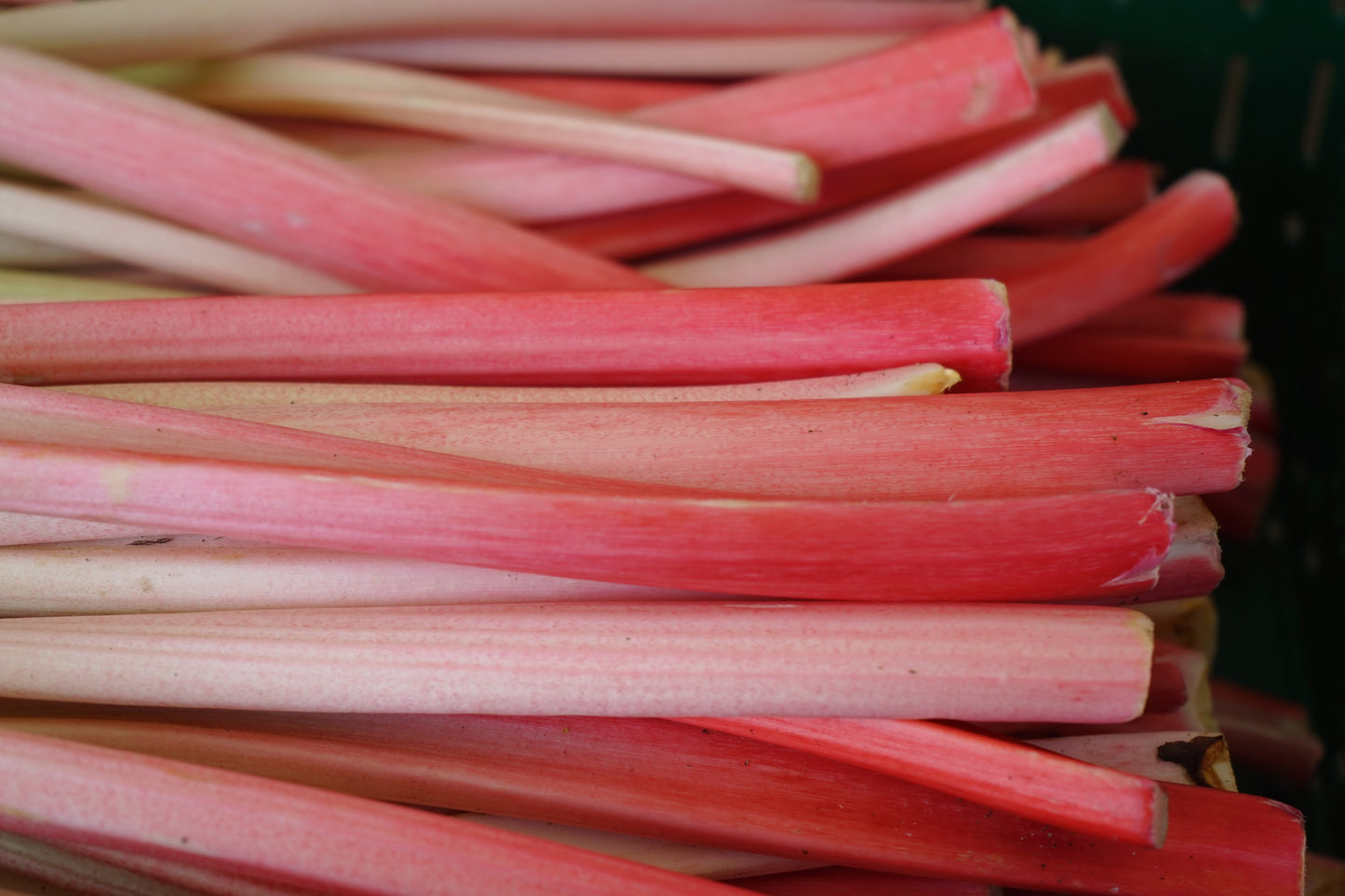 Cinnamon Rhubarb Jam